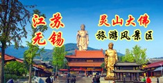 插Bibi视频江苏无锡灵山大佛旅游风景区