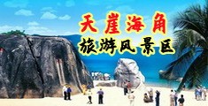 大鸡巴正在播放海南三亚-天崖海角旅游风景区