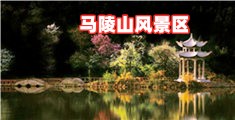 屌操逼
