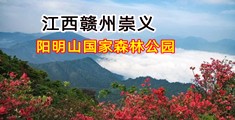 嗯嗯哼插入深处视频